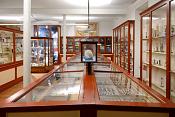 museum de histoire naturelle rouen 8-2021 9526